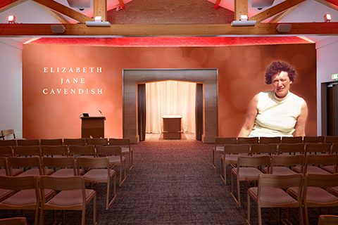 Classic Copper Projection Image